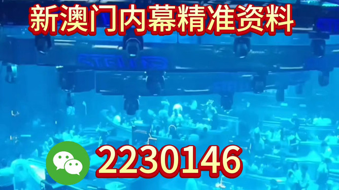 新奧2025今晚開獎資料詳解，新奧2025今晚開獎資料全面解析