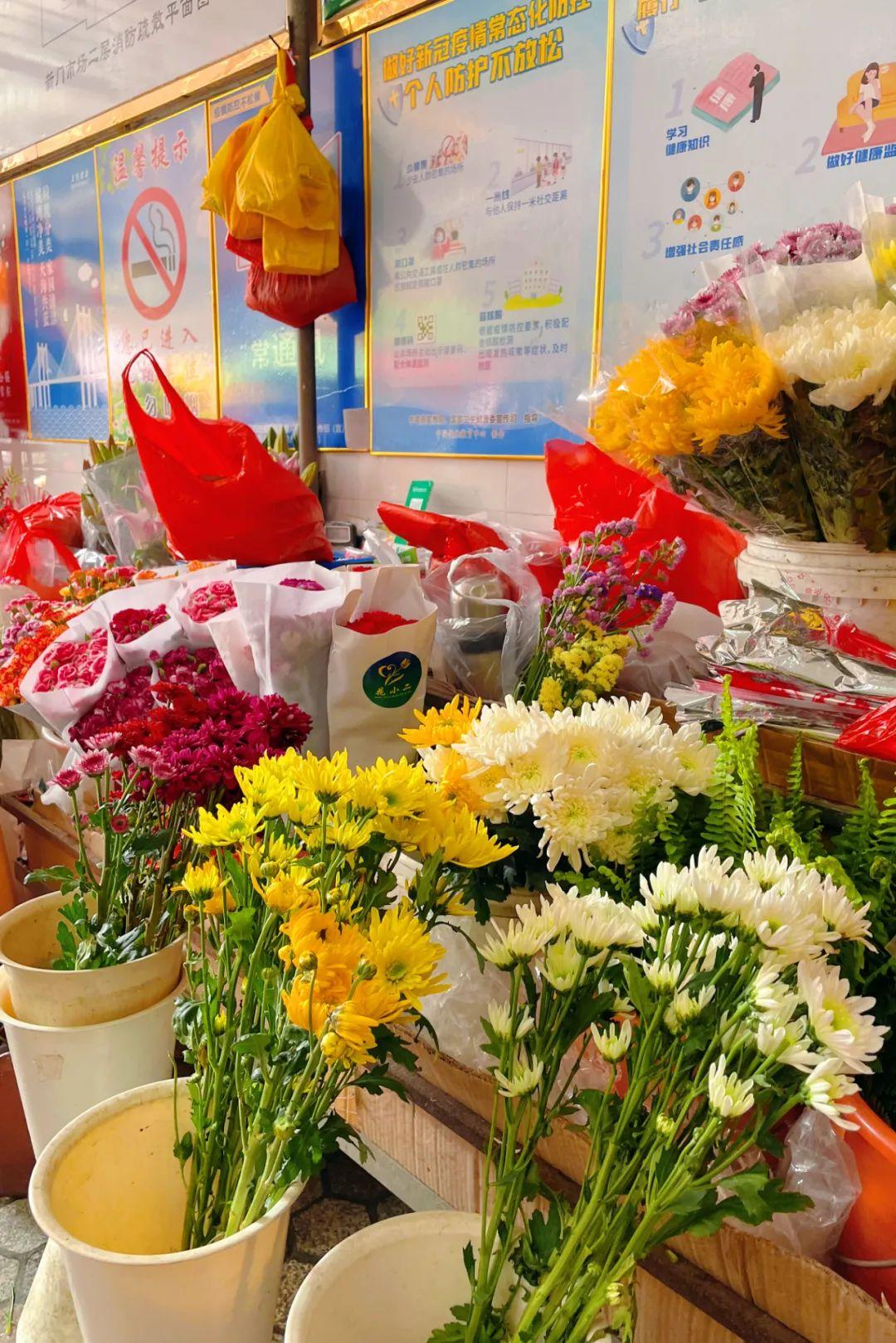新門內(nèi)部資料最快更新，深度探索與前沿洞察，新門內(nèi)部資料更新速遞，深度探索與前沿洞察揭秘