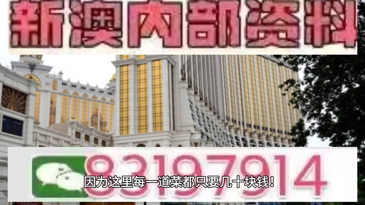 澳門六肖中特馬，探索與解讀，澳門六肖中特馬的探索與解讀指南