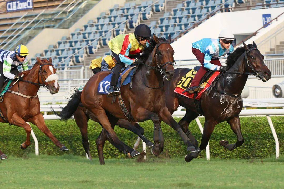 香港馬，77777與88888的傳奇故事，香港賽馬傳奇，77777與88888的傳奇篇章