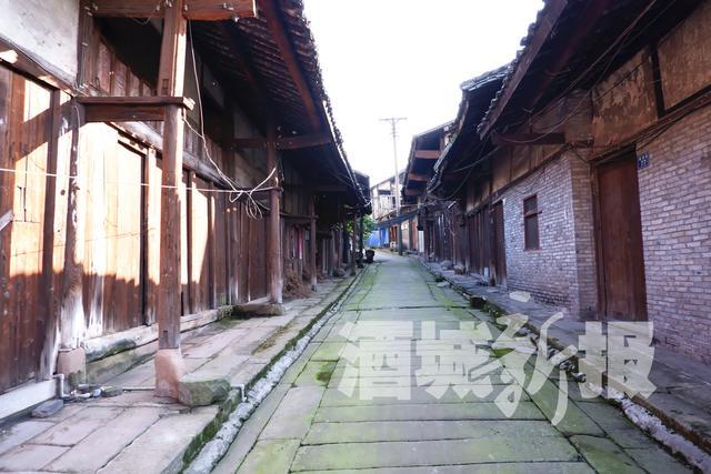 新溪門(mén)免費(fèi)資料大全，探索與收獲，新溪門(mén)免費(fèi)資料探索之旅，收獲與成長(zhǎng)