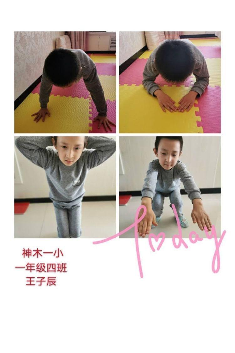 新天天彩免費資料大全，探索與解析，新天天彩免費資料大全，深度探索與解析
