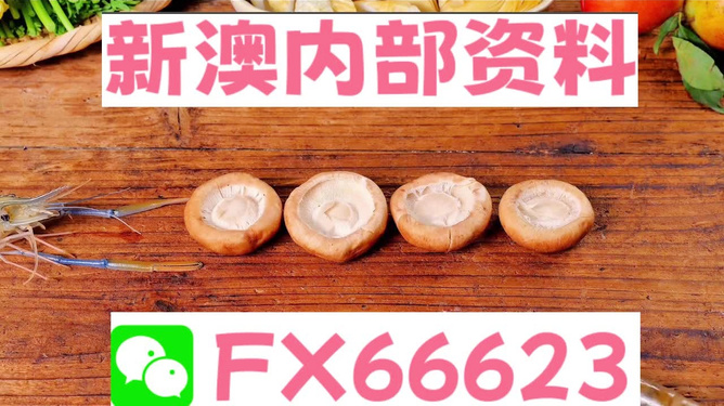 新澳全年免費資料大全，探索與收獲，新澳全年免費資料大全，探索之旅與收獲的時刻