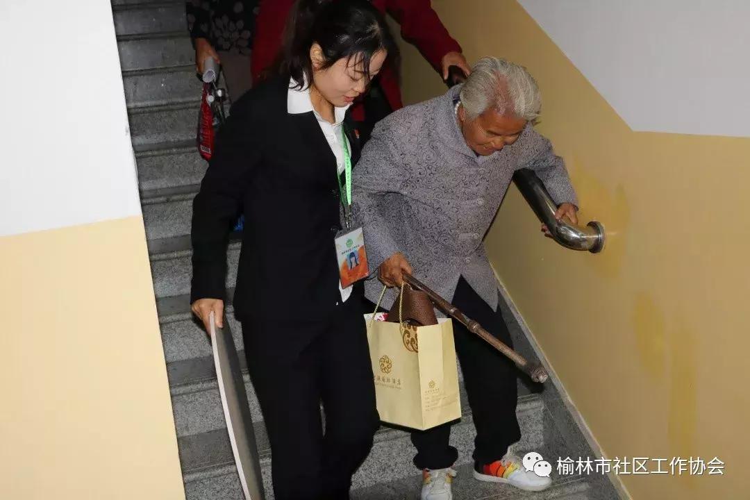 天天免費(fèi)資料彩票大全，探索彩票世界的奧秘與機(jī)遇，天天免費(fèi)資料彩票大全，揭秘彩票世界的奧秘與機(jī)遇