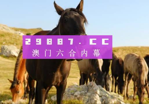 新澳門管家婆一特一中，探索現(xiàn)代博彩管理的典范，現(xiàn)代博彩管理典范，澳門管家婆一特一中探索之路