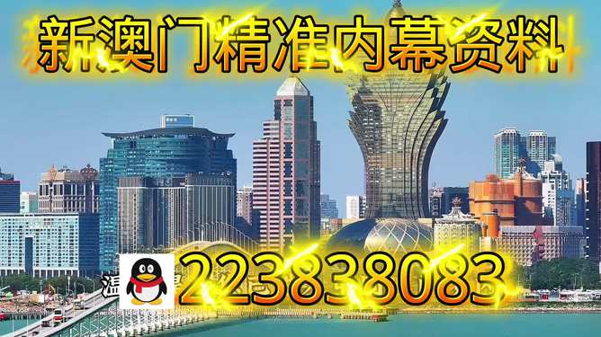 探索新澳門正版內(nèi)部，一個(gè)多元化的未來展望（至2025年），澳門未來展望，探索多元化發(fā)展之路至2025年
