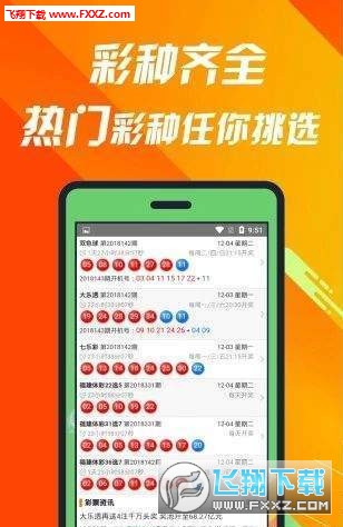 探究神秘的數(shù)字組合，493333王中王王中王，揭秘神秘數(shù)字組合493333王中王王中王的奧秘