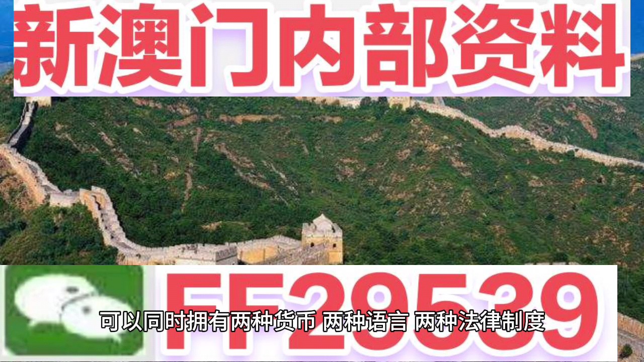 新澳門今晚開獎結果號碼查詢表，探索彩票世界的神秘與期待，新澳門今晚開獎結果查詢表，揭開彩票世界的神秘面紗與期待