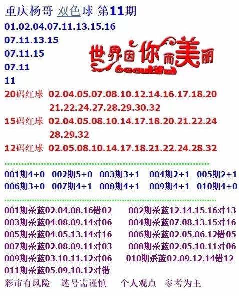 新門內(nèi)部資料大全免費查詢，探索與啟示，新門內(nèi)部資料免費探索，啟示與大全查詢