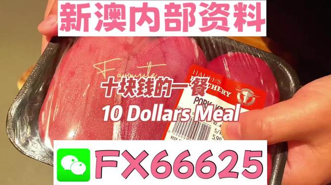 探索未來(lái)，揭秘2025新奧精準(zhǔn)正版資料的價(jià)值與影響，揭秘未來(lái)之門(mén)，2025新奧精準(zhǔn)正版資料的價(jià)值與影響探索