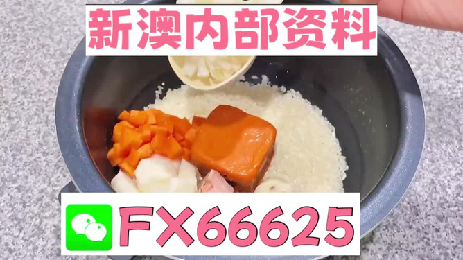 新奧精準(zhǔn)免費(fèi)資料提供，探索與啟示，新奧精準(zhǔn)免費(fèi)資料探索，啟示與分享