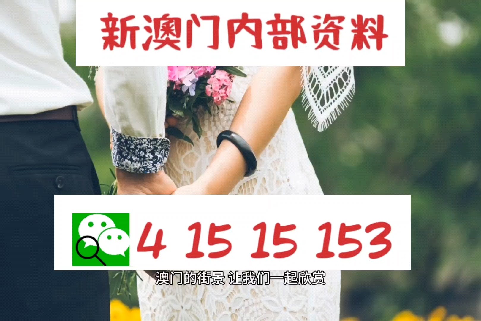 澳門六肖中特馬，探索與解讀，澳門六肖中特馬的探索與解讀指南