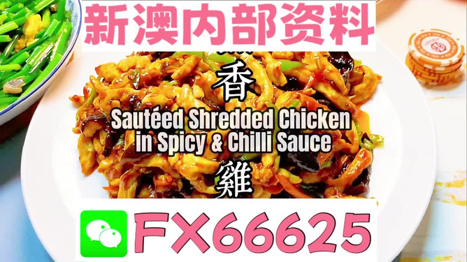 2025新奧精準(zhǔn)資料免費(fèi)大全，探索未來(lái)，助力成長(zhǎng)，2025新奧精準(zhǔn)資料免費(fèi)大全，探索未來(lái)助力成長(zhǎng)之路
