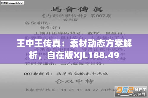 探索正版王中王，數(shù)字背后的故事與意義，正版王中王，數(shù)字背后的故事與深意