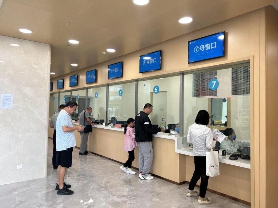 新門內(nèi)部資料免費下載，探索與啟示，新門內(nèi)部資料免費下載，探索與啟示之門開啟