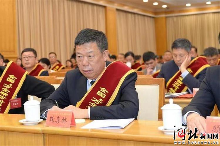 新奧精準(zhǔn)選免費(fèi)提供，探索未來(lái)智能決策的新路徑，新奧精準(zhǔn)選免費(fèi)開放，智能決策的新路徑探索