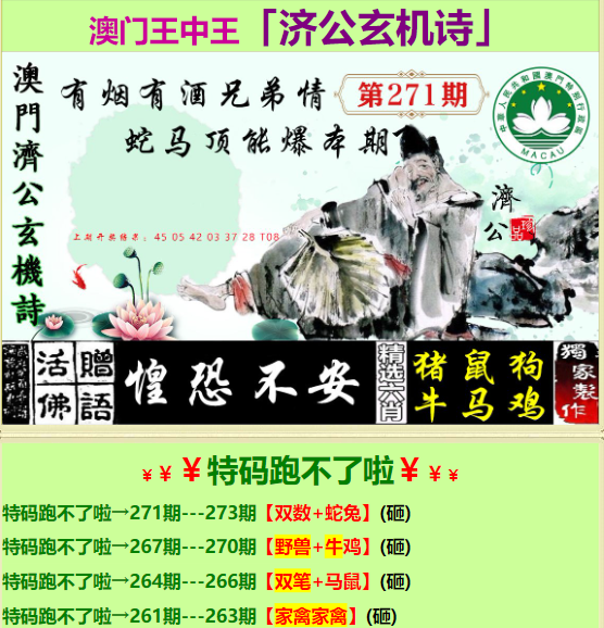 王中王心水論壇，探索智慧之源的聚集地，王中王心水論壇，智慧之源的聚集地探索
