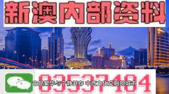 新門內(nèi)部資料大全免費(fèi)，探索與啟示，新門內(nèi)部資料免費(fèi)探索與啟示指南