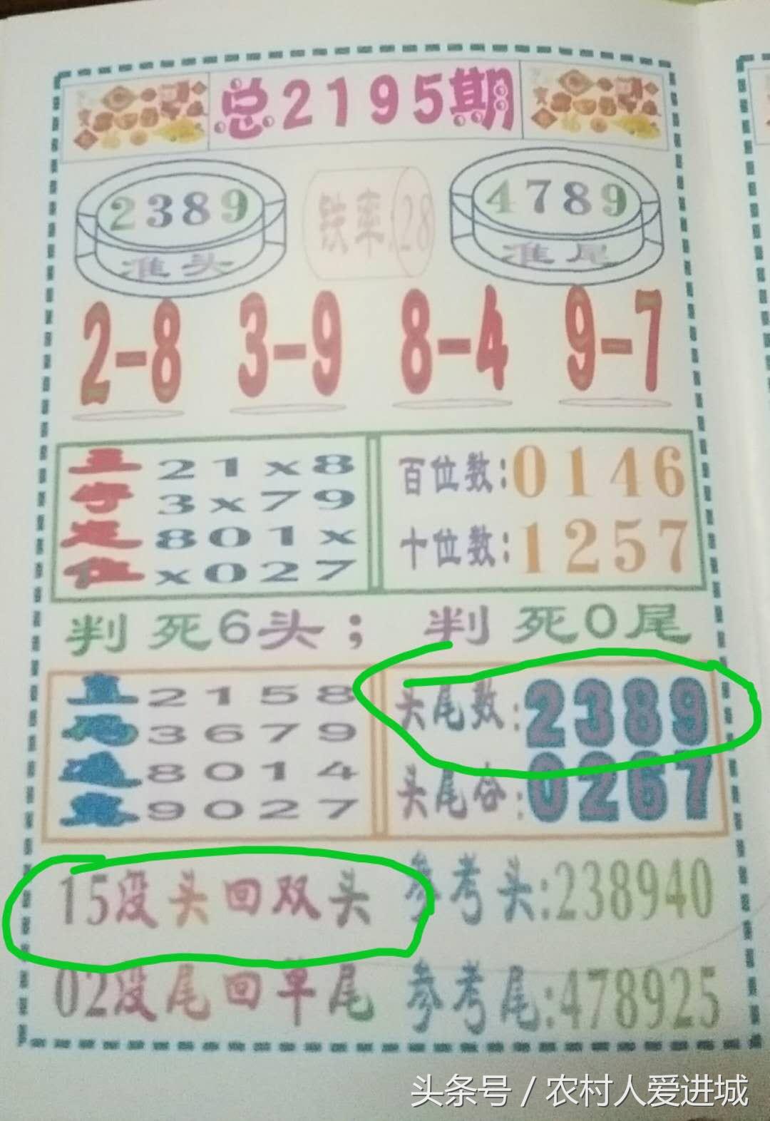 新澳門中期期期準(zhǔn)的發(fā)展與展望，澳門未來中期發(fā)展展望與趨勢