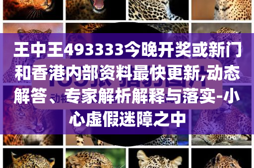 王中王493333中特大全，探索神秘?cái)?shù)字的魅力與內(nèi)涵，王中王493333中的神秘?cái)?shù)字魅力與內(nèi)涵探索