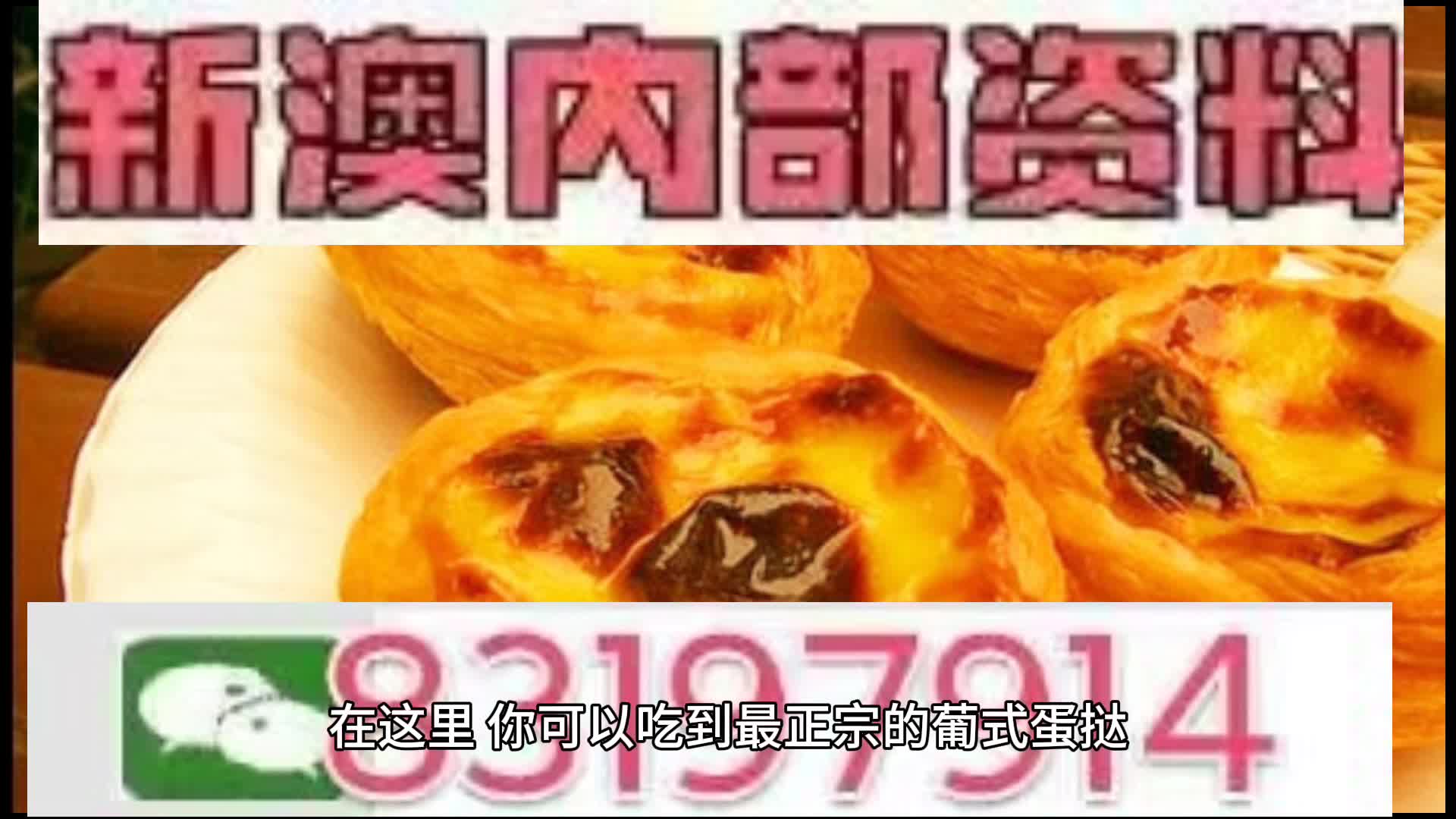 探索未來的澳門，新澳門中特網(wǎng)的發(fā)展與展望，澳門未來探索，新澳門中特網(wǎng)的發(fā)展展望