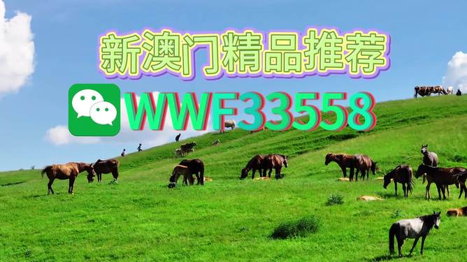 揭秘精準四生肖，探尋數(shù)字組合77777與88888背后的奧秘，揭秘精準四生肖與神秘數(shù)字組合77777與88888的奧秘探索
