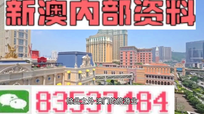 新澳門內(nèi)部精準公開的多元發(fā)展與活力展望，澳門多元發(fā)展的活力展望與內(nèi)部精準公開新動向