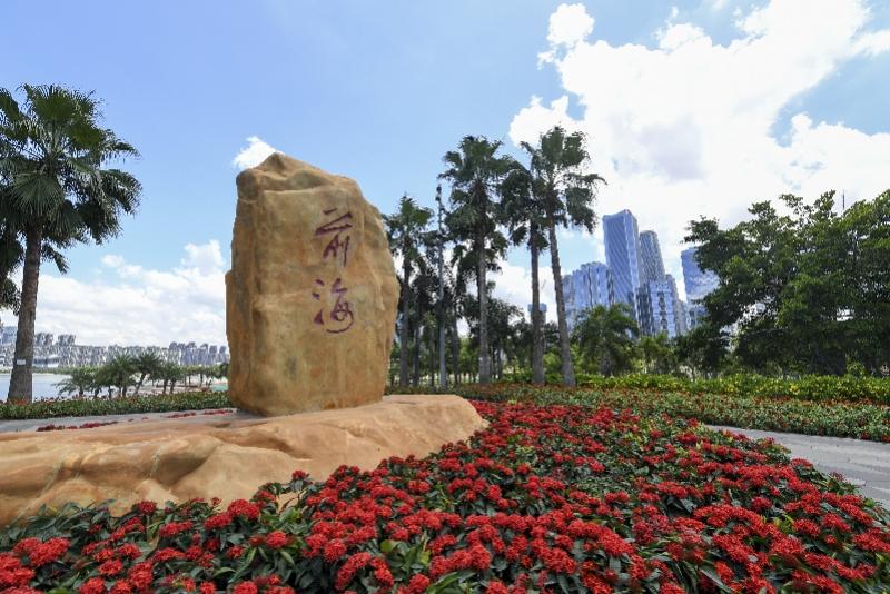 新澳門內(nèi)部精準(zhǔn)公開，探索與解讀，澳門內(nèi)部精準(zhǔn)解讀，探索與揭秘