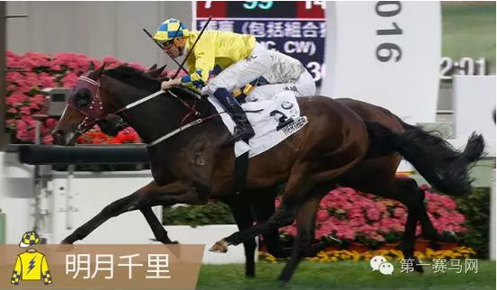 香港馬，77777與88888的傳奇故事，香港賽馬傳奇，77777與88888的傳奇篇章