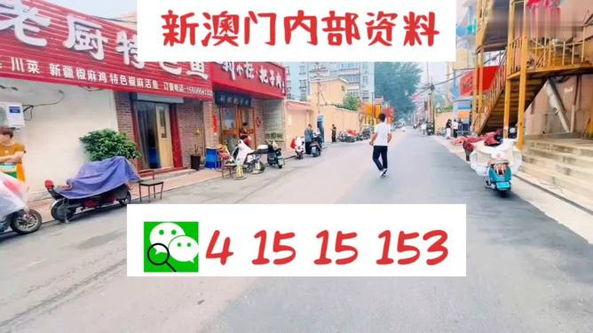 新奧天天開(kāi)好彩大全——邁向成功的關(guān)鍵所在，新奧天天開(kāi)好彩大全，成功之關(guān)鍵所在