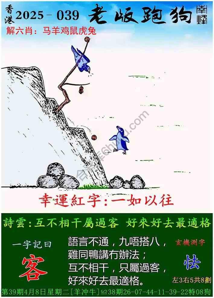 探索全新體驗，7777788888新版跑狗，探索全新跑狗體驗，7777788888新版來襲