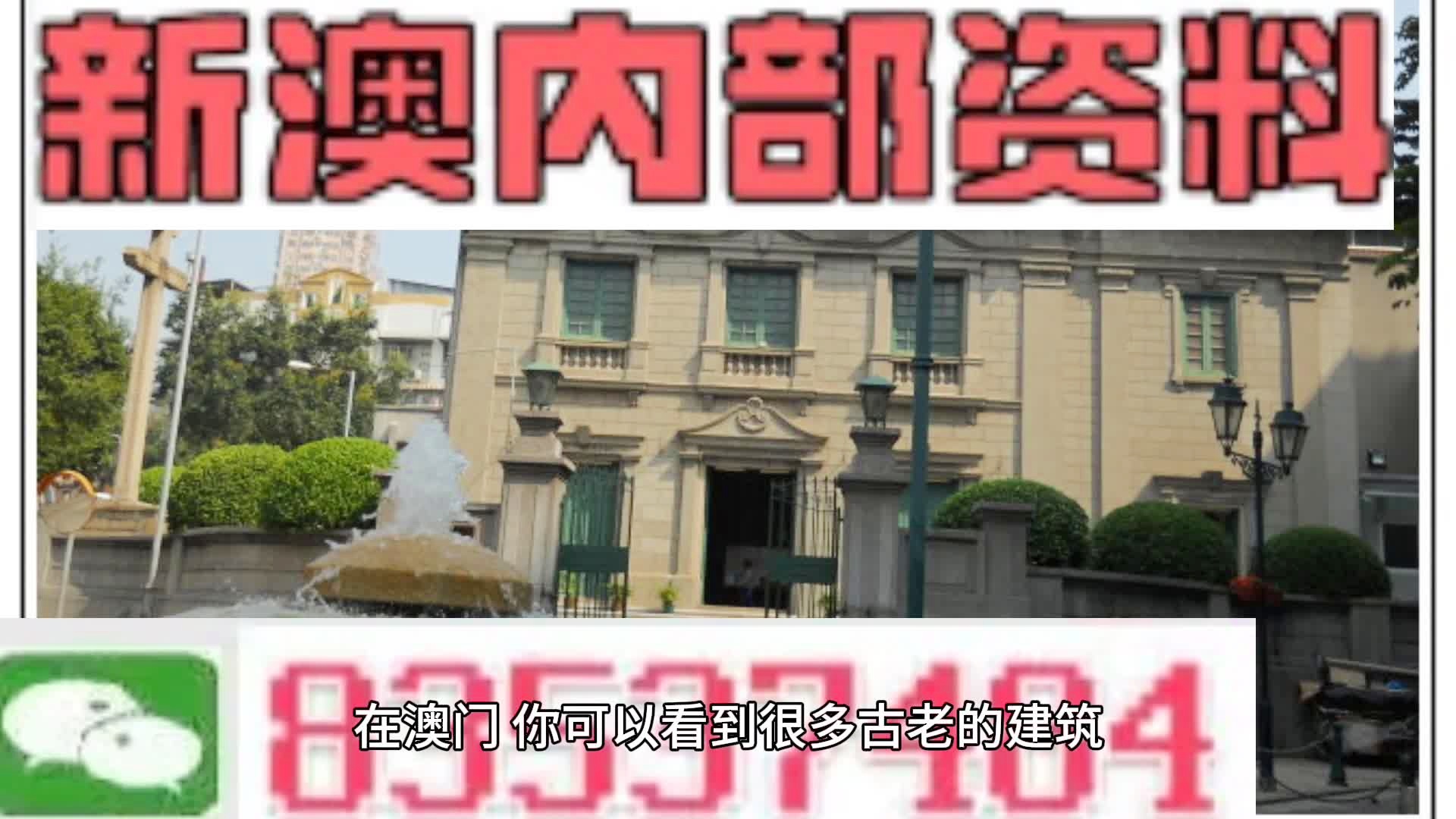新門內(nèi)部免費(fèi)資料大全，探索知識(shí)的寶庫，新門內(nèi)部知識(shí)寶庫，免費(fèi)資料大全探索之旅
